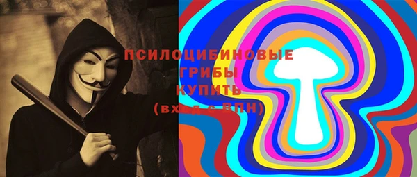 apvp Алексин