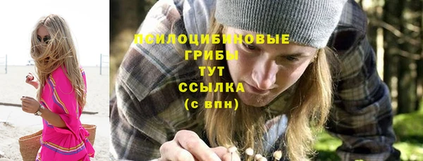 apvp Алексин